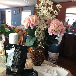 Meet your Posher, Vicenta